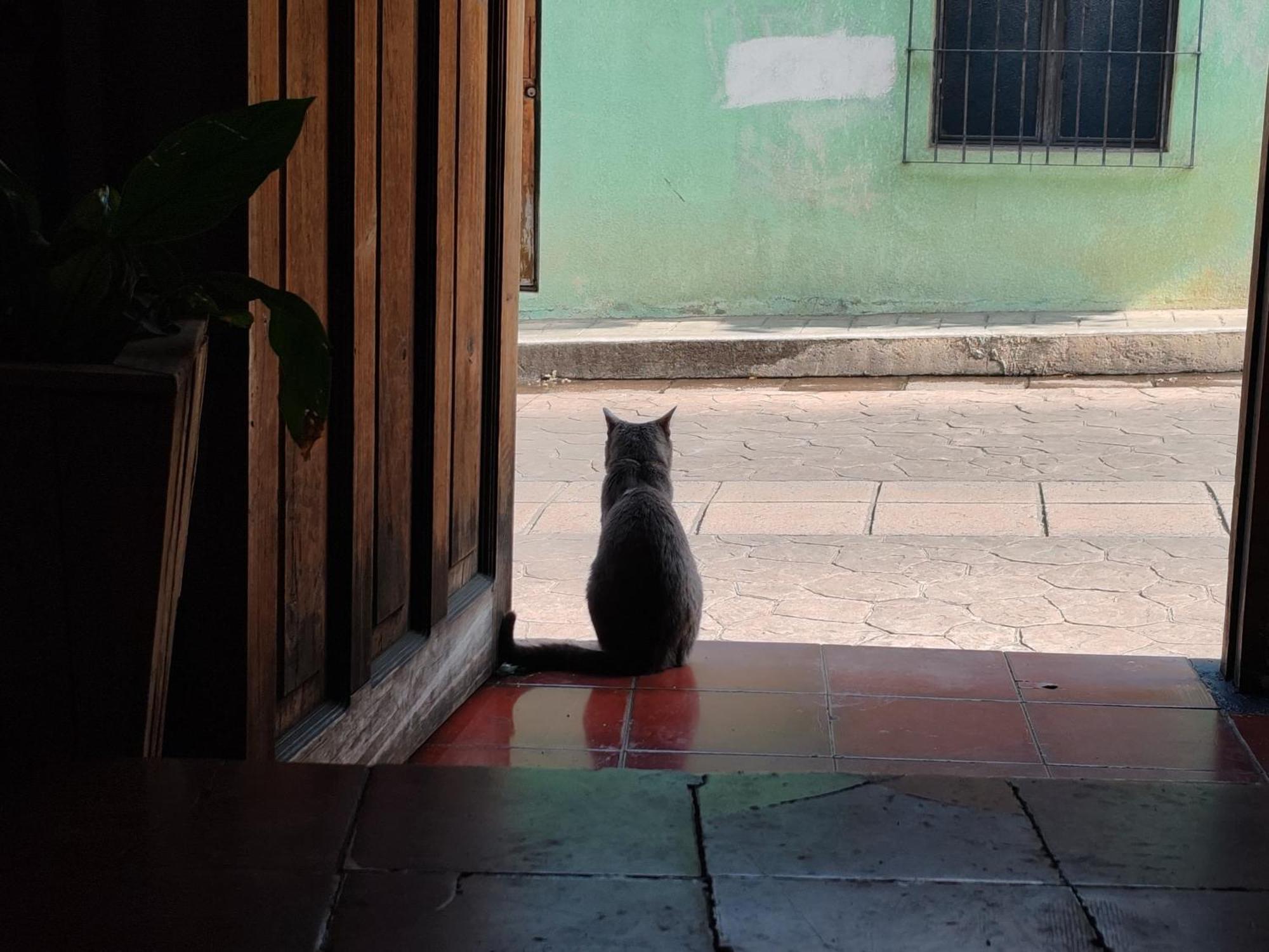 Casa Satoshi Hostel San Cristóbal de Las Casas Екстериор снимка